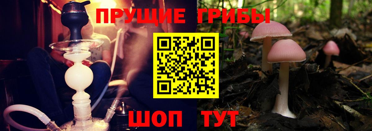 цена наркотик  Вход с VPN  Пугачёв  Галлюциногенные грибы прущие грибы 